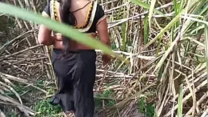 Telugu Boss Xvideo Step Aunty Outdoor Sex